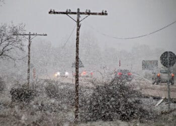 479 profesionales, 148 máquinas quitanieves y 130 almacenes de fundentes conforman el dispositivo de vialidad de la Junta para la campaña 2024-2025. / Peio García