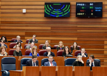 Votación durante la segunda sesión de Pleno en las Cortes de Castilla y León. / Miriam Chacón