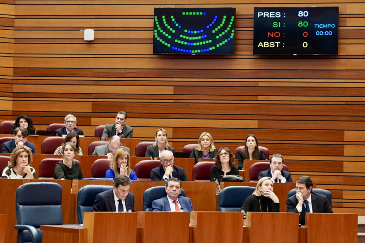 Unanimidad de las Cortes para exigir a la Junta que registre el proyecto de Ley de Presupuestos 1 Votación durante la segunda sesión de Pleno en las Cortes de Castilla y León. / Miriam Chacón