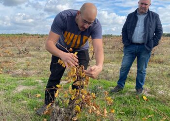 Enoturismo por Valtiendas.