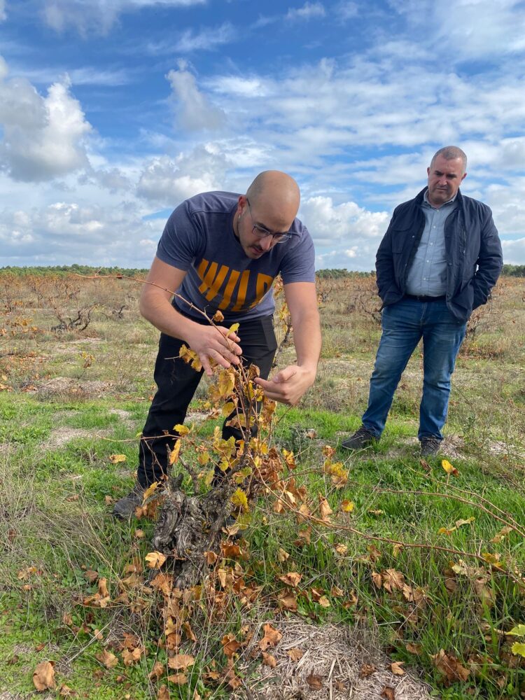 Enoturismo por Valtiendas.