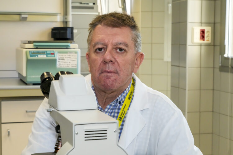 El doctor José Antonio Queizán, jefe del Servicio de Hematología y Hemoterapia.