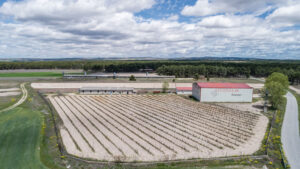 Viñedos y bodegas Navaltallar, que lleva en funcionamiento y constante crecimiento desde 2003. 