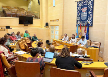 Consejo de Acción Social