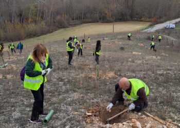 Plantación de árboles en el Bosque de Cajaviva / E.A.