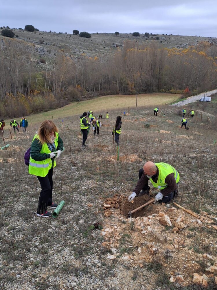 El Bosque de Cajaviva cuenta con más de 6.000 árboles 1 Plantación de árboles en el Bosque de Cajaviva / E.A.