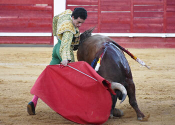 El novillero sepulvedano Eusebio Fernández en Cantalejo. / A.M.