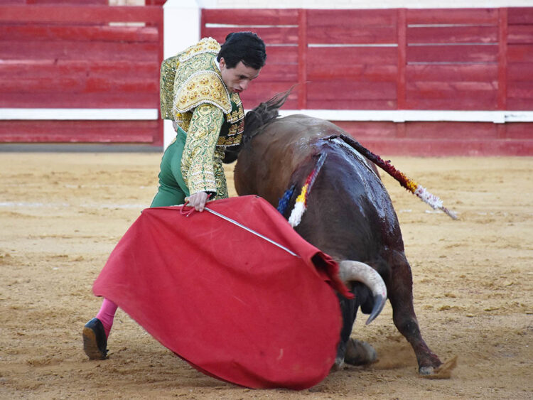 El novillero sepulvedano Eusebio Fernández en Cantalejo. / A.M.