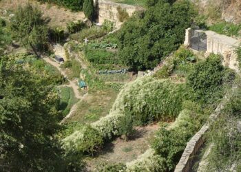Huertos en la zona de la Hontanilla. / ROCÍO PARDOS