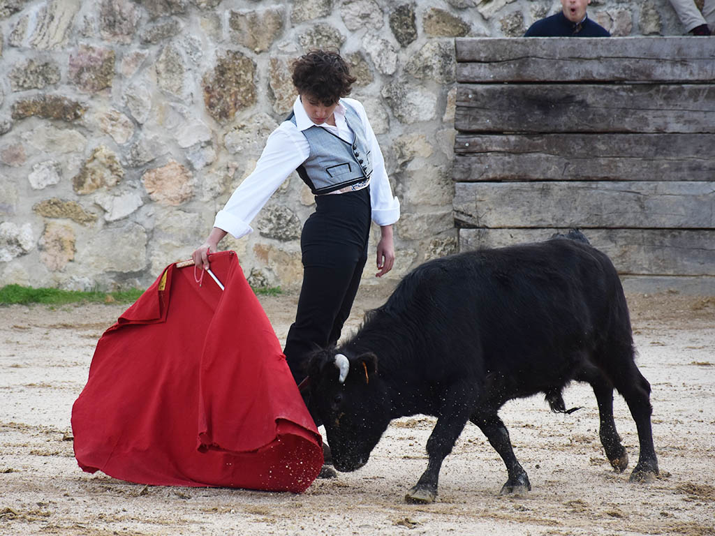 Jorge Oliva y Jaime Hermosa, de la Escuela de Segovia, torearán en Valladolid el día de San Pedro Regalado 2 Jaime Hermosa. / A.M.
