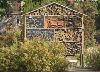Jardín Botánico de Segovia. / KAMARERO