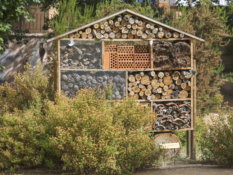 Segovia aspira a convertirse en la gran capital del comercio de la flor del suroeste europeo 1 Jardín Botánico de Segovia. / KAMARERO