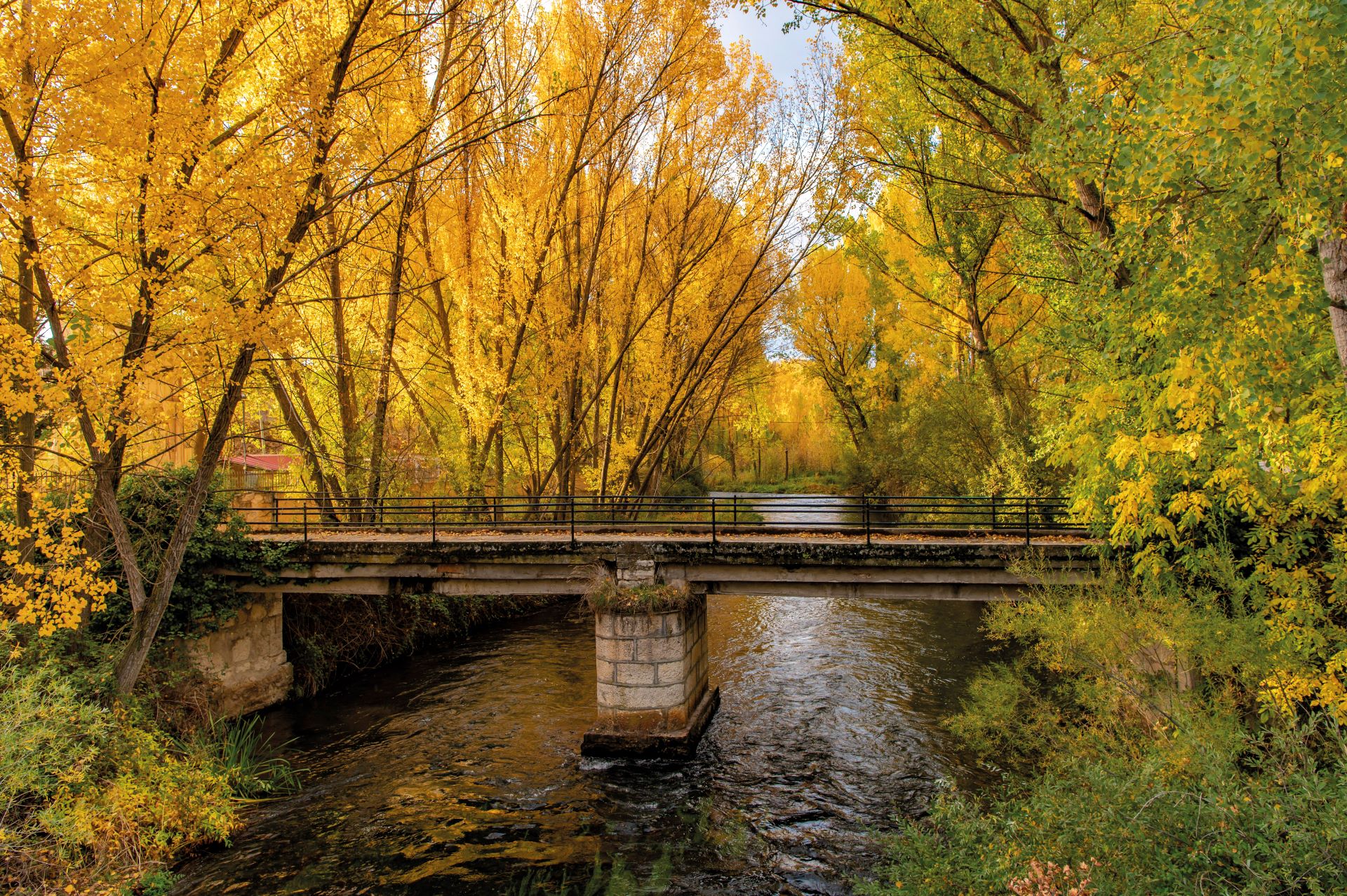 La senda de la Vega.