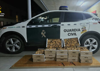 Níscalos decomisados.