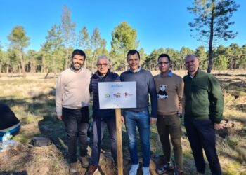 Plantación del bosque / E.A.