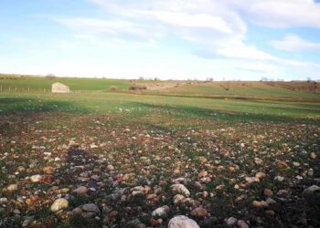 Cuarzo sobre campo cerca del Duraton / PLATAFORMA CONTRA LA MINA A CIELO ABIERTO