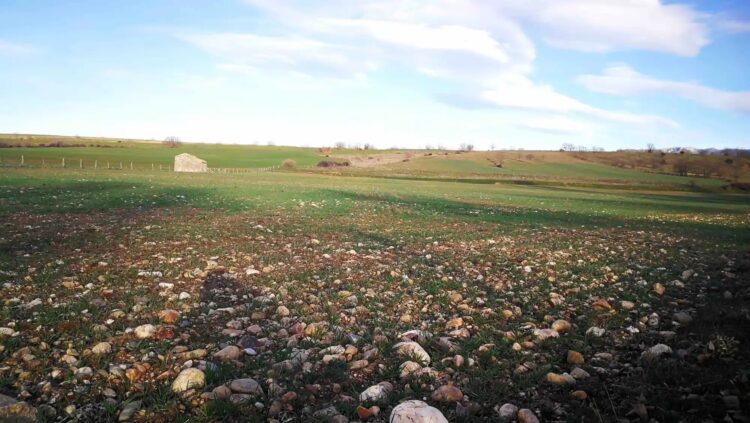Presentan más de 1.300 alegaciones contra el proyecto minero en el Nordeste de Segovia 1 Cuarzo sobre campo cerca del Duraton / PLATAFORMA CONTRA LA MINA A CIELO ABIERTO