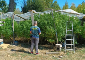 La operación “Spinello Verde” se inició en septiembre de este año.