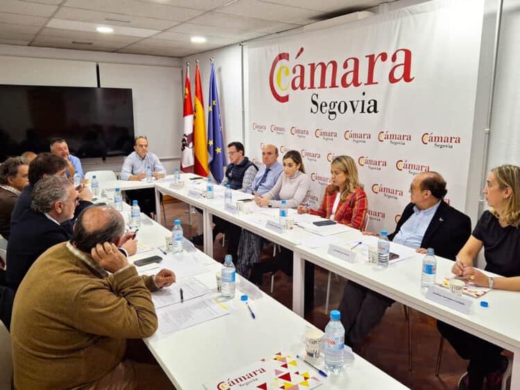 Pleno de la Cámara de Comercio de Segovia. / EL ADELANTADO