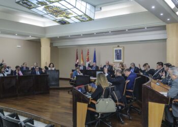 Votación en el Pleno de la Diputación Provincial. / KAMARERO