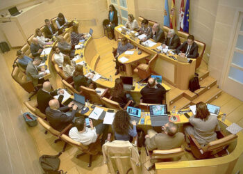 Pleno municipal del Ayuntamiento de Segovia. / PSOE SEGOVIA