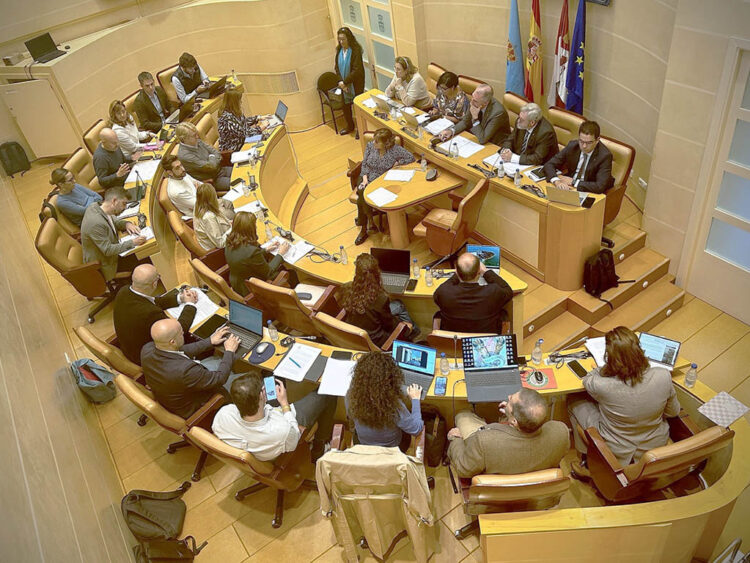 Pleno municipal del Ayuntamiento de Segovia. / PSOE SEGOVIA