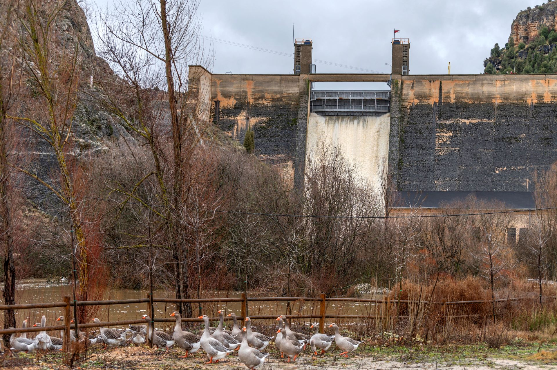 Presa de Burgomillodo.