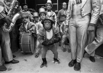 El premio recuerda la figura de Piedad Isla, etnógrafa y pionera de la fotografía, nacida en Cervera de Pisuerga en 1926.
