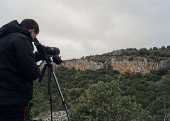 Ornitólogo avistando aves / E.A.