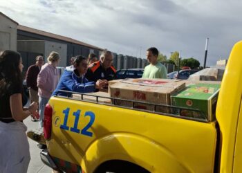 Recogida de material y alimentos / AGRUPACIÓN DE PROTECCIÓN CIVIL LA GRANJA-VALSAÍN