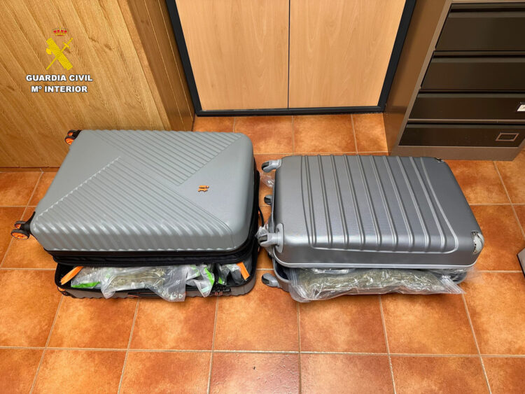 Detenido en Santo Tomé del Puerto por viajar en transporte público con más de 18 kilos de marihuana 1 La Guardia Civil ha detenido a un hombre como presunto autor de un delito contra la salud pública / GUARDIA CIVIL