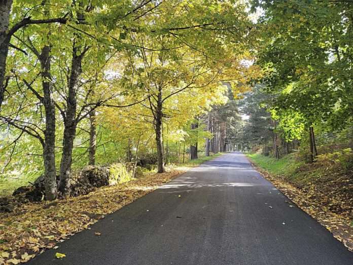 Imagen de archivo. Pista forestal de El Espinar / E.A.