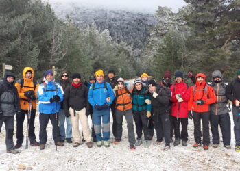 de Madrid y Cantimpalos.