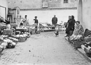 Mercado de los Huertos. 1954. Mauri Renedo.
