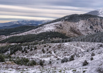 Nieve en la Sierra de Guadarrama.