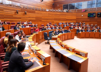 Momento de votación durante la segunda sesión de Pleno en las Cortes de Castilla y León. / Miriam Chacón