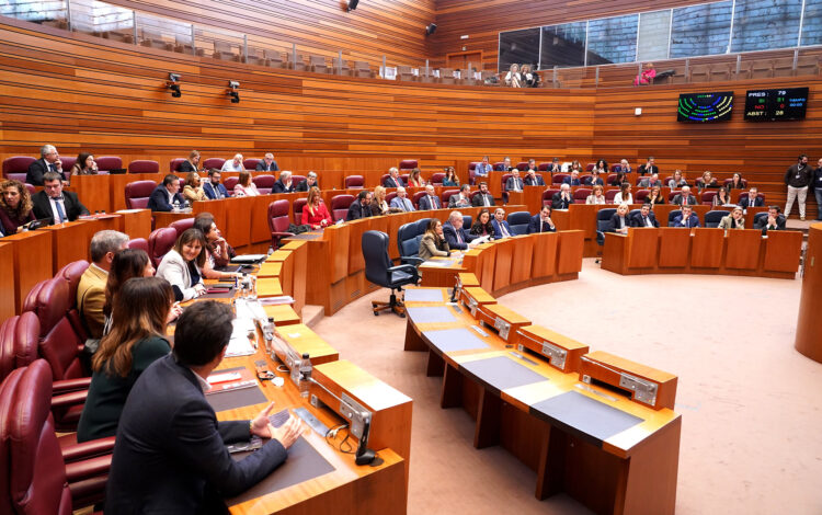 Momento de votación durante la segunda sesión de Pleno en las Cortes de Castilla y León. / Miriam Chacón