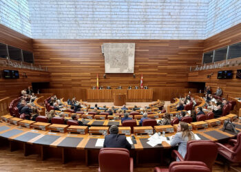 Segunda sesión del pleno de las Cortes de Castilla y León. / Leticia Pérez