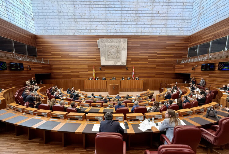 Aprobada una moción que pide proteger el territorio ante el despliegue de las renovables 1 Segunda sesión del pleno de las Cortes de Castilla y León. / Leticia Pérez