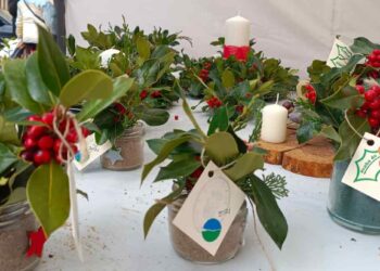 Feria del acebo de Prádena.