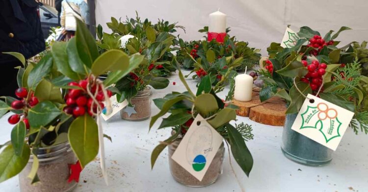 Un amplio abanico de actividades para celebrar el puente y recibir a la Navidad en la provincia 1 Feria del acebo de Prádena.