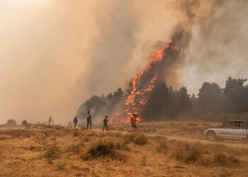 Incendio Segovia Adelantado