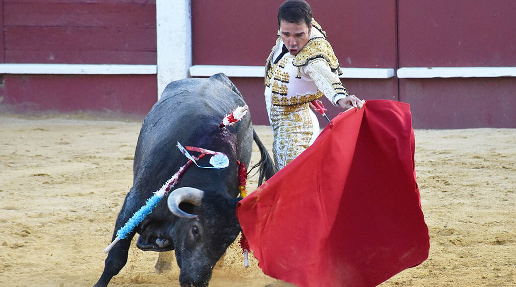 Muletazo del diestro cuellarano Javier Herrero a un toro de Partido Resina. / A.M.