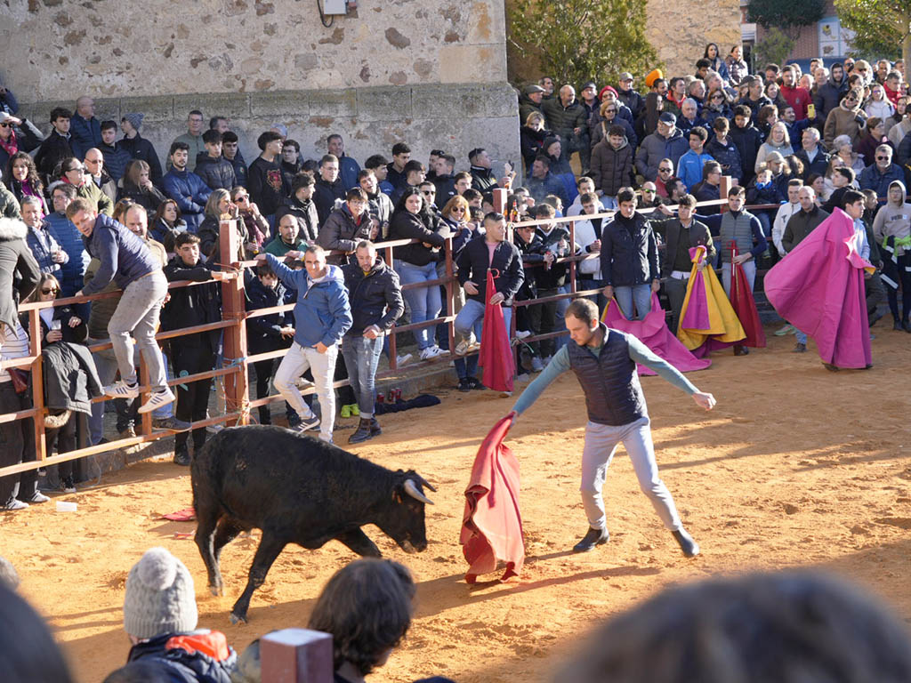 Hitos del 2024: el regreso de los toros a Abades, Marugán, La Lastrilla y Valverde 2 El diestro Javier Montalvo, con un ejemplar de la Finca ‘Los Cerros’ en Valverde del Majano. / MIGUEL ÁNGEL FERNÁNDEZ