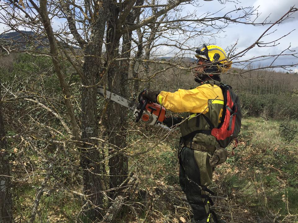 El roce hace el cariño 4 Jose david desbroza