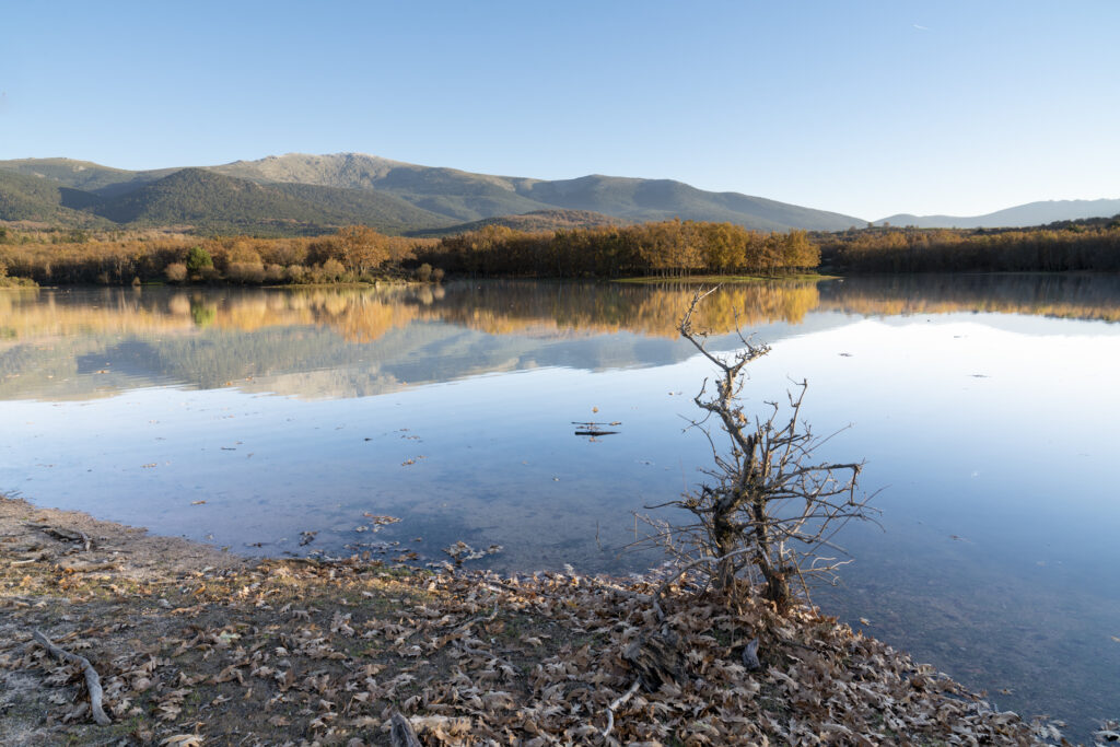 Aprobados más de 15 millones para la vertiente segoviana del Parque Nacional de la Sierra de Guadarrama 2 Uno de los espacios naturales situados en el Parque Nacional de la Sierra de Guadarrama.