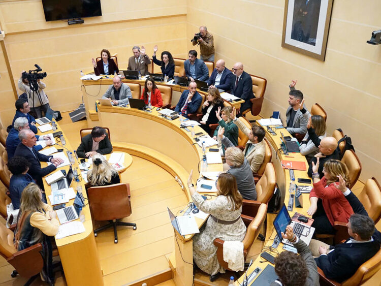 Pleno del Ayuntamiento de Segovia, correspondiente al mes de diciembre. / CS