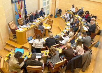 Pleno del Ayuntamiento de Segovia, del pasado mes de noviembre. / AYTO. SEGOVIA