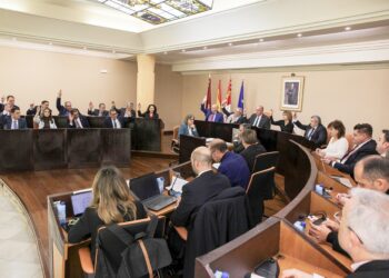 Sesión plenaria de la Diputación de Segovia correspondiente al mes de diciembre, celebrada este jueves. / DIPUTACIÓN