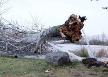 Consecuencias producidas por una borrasca. / ICAL